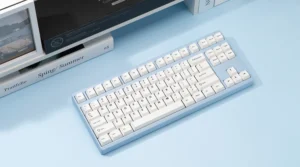 PBT BOW 176 Keys