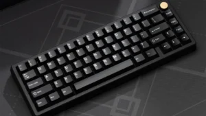 PBT WOB 176 Keys